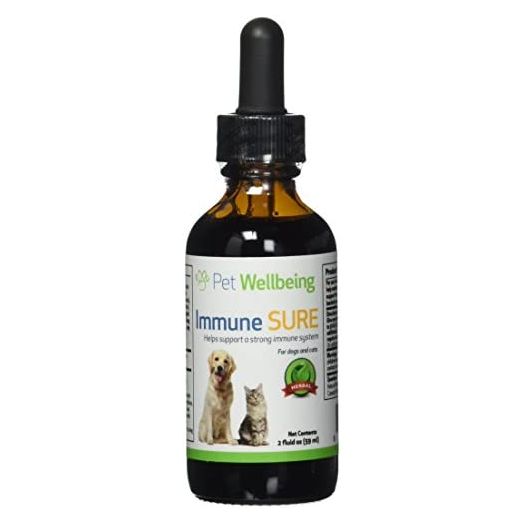 Pet Wellbeing - Immune Sure for Cats - Herbal Immune Support in Felines - 2oz (59ml)
