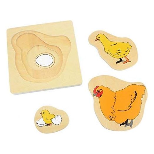 Montessori Toddler Wood Puzzle Toy Life Cycle of Hen Egg Hatching Grow Up Cartoons Puzzles Jingsaw Preschool Infant Science Toys
