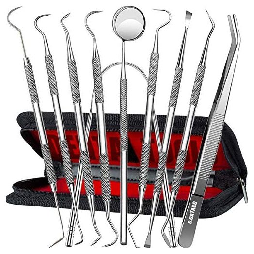 G.CATACC Dental Tools, Stainless Steel Oral Care Hygiene Kit (10 Pack)