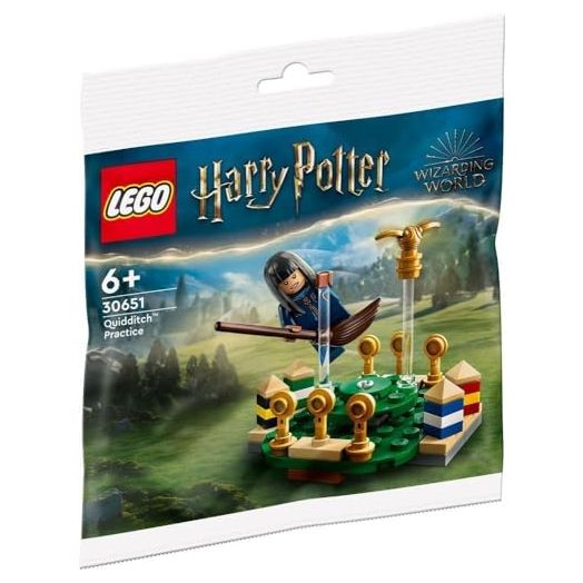 ZGZZPETT Lego Harry Potter Quidditch Practice 30651 Polybag, Medium