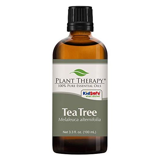Plant Therapy Tea Tree Essential Oil 100% Pure, Undiluted, Natural Aromatherapy, Therapeutic Grade 100 mL (3.3 oz)