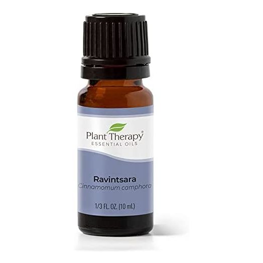 Plant Therapy Ravintsara Essential Oil 10 mL (1/3 oz) 100% Pure, Undiluted, Therapeutic Grade