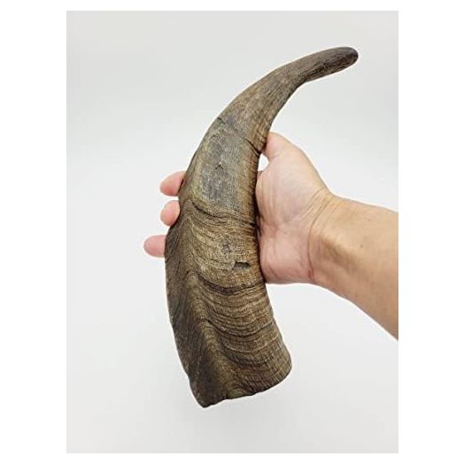 Chews Dried Goat Horns Dog Chew Large 1 pc.