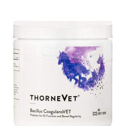 Thorne Vet Bacillus CoagulansVET - 60 Soft Chews