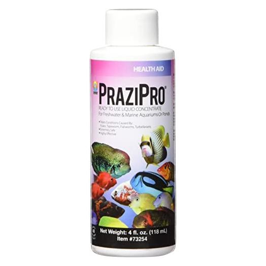 Hikari Usa AHK73254 Prazipro for Aquarium, 4-Ounce