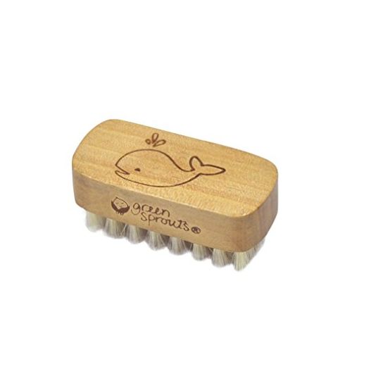 green sprouts Baby Nail Brush, Gently Cleans Baby’s Nails, Soft, Natural bristles for Comfort, Easy to Grasp Wood Handle, Made from Natural, Non-Petroleum Materials