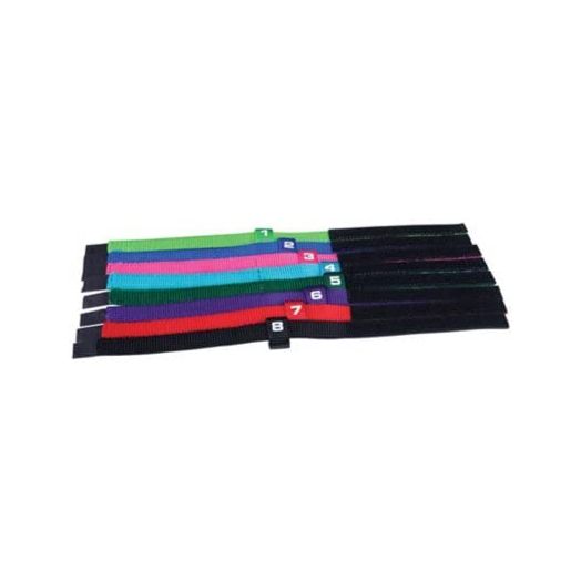 Total Pet Health Nylon Puppy ID Collar, Toy, 8-Pack