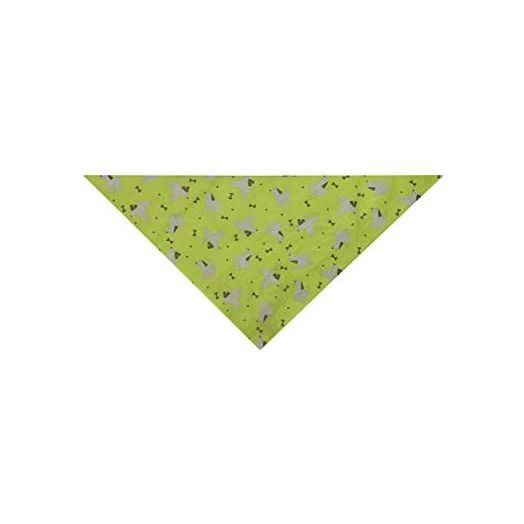 Insect Shield Repellant Dog Bandana for Protecting Dogs from Fleas, Ticks, and Mosquitoes, Dogs & Bones, Green, 19x19 Inch (Pack of 1) (IE9412 44)