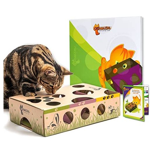 CAT AMAZING – Best Cat Toy Ever! Interactive Treat Maze & Puzzle Feeder for Cats