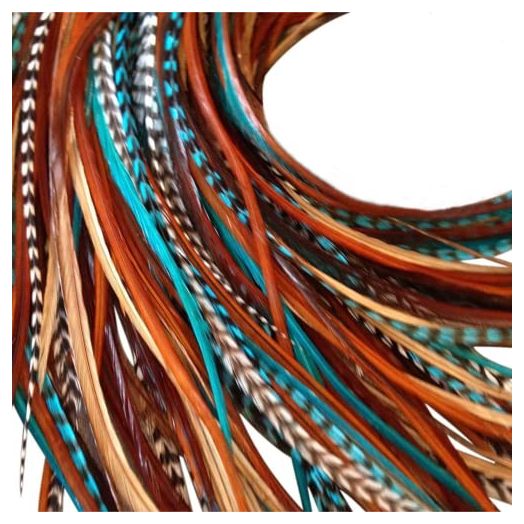 Feather Hair Extensions, 100% Real Rooster Hair Feathers, Long Natural and Turquoise Blue Colors, 20 Feathers with Beads and Loop Tool Kit NBT