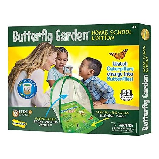Insect Lore - Butterfly Growing Kit - Clear Front Facing Viewing Panel - Pre-Paid Voucher to Redeem Caterpillars Later – Life Science & STEM Education – Butterfly Science Kit, Large