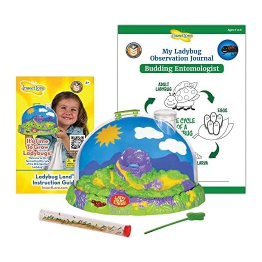 Insect Lore Live Ladybug Growing Kit Toy, Observation Skills