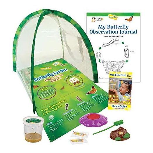 Insect Lore - Butterfly Growing Kit - Clear Front Facing Viewing Panel - Live Cup of Caterpillars with STEM Butterfly Journal – Life Science & STEM Education – Butterfly Science Kit