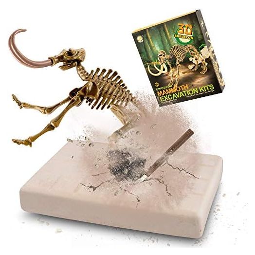 VIBIRIT Dig Up Dinosaurs Skeleton Set,Dinosaur Digging Fossil Kit Model Toys Educational Realistic Toys for Kids,Boys,Girls