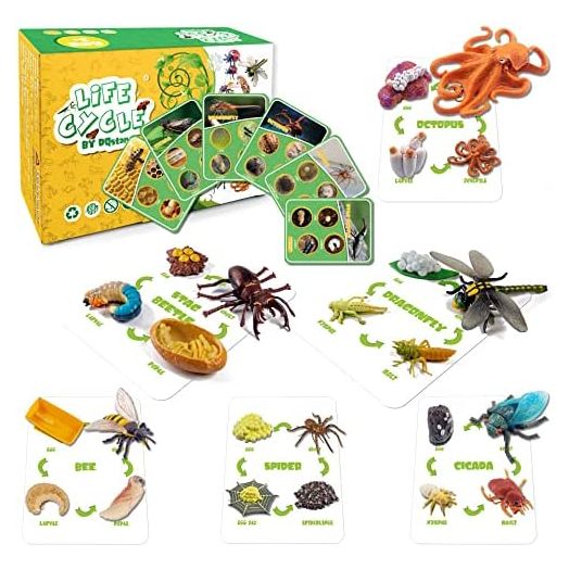 Life Cycle Figures of Bee, Stag Beetle, Spider, Dragonfly, Octopus, Cicada, Science Toys kit, Early Education Animal Figures for Kids Age 3-12