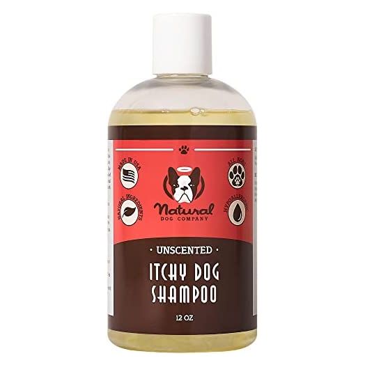 Natural Dog Company Itchy Dog Shampoo (12oz) | Natural and Hypoallergenic | Non-Toxic and Paraben-Free | Dog Shampoo for Itchy Skin Relief and Coat Health | Hydrates, Soothes and Heals Irritations