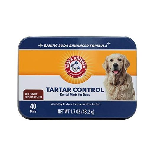 Arm & Hammer for Pets Tartar Control Dental Mints for Dogs | Dog Dental Mints Help Reduce Plaque & Tartar Buildup Without Brushing | Beef Flavor, 40 Count