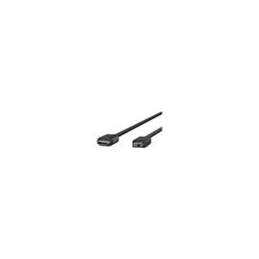 Belkin USB-C cable - 6 ft