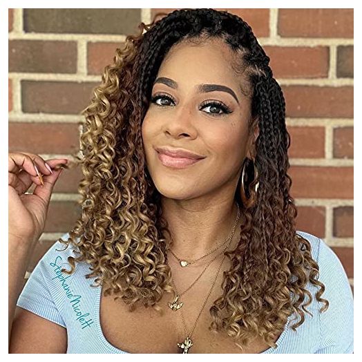 8 Packs Crochet Box Braids- 14 Inch Goddess Box Braids Crochet Hair Bohomian Crochet Braids Hair Synthetic Braiding Hair Extensions Crochet Hair for black women (1B/30/27)