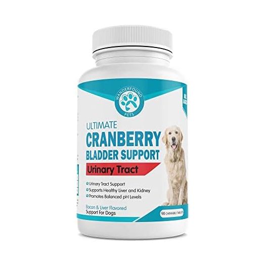 Wanderfound Pets Ultimate Cranberry Bladder UTI Support Supplement for Dogs - Dog Urinary Tract Infection Incontinence Formula with Cordyceps Mushroom - Bacon & Liver Flavor - 90 Chewable Tablets