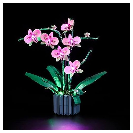 LIGHTAILING Light for Lego-10311 Orchid - Led Lighting Kit Compatible with Lego Building Blocks Model - NOT Included The Model Set