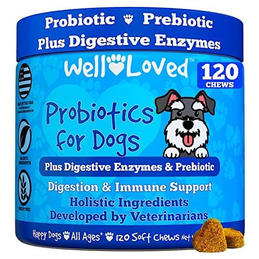 Well Loved Probiotics for Dogs - Dog Probiotics and Digestive Enzymes, Made in USA, Vet Developed, Dog Probiotic Chews with Prebiotics, Diarrhea Treatment, for Itchy Skin, Gut Health & Gas Relief