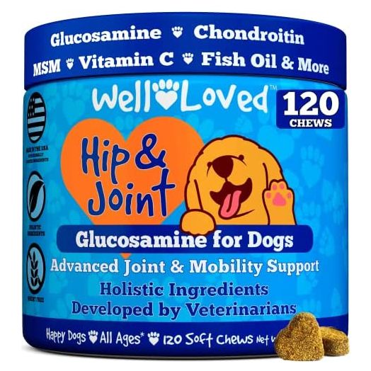 Well Loved Glucosamine for Dogs - Joint Supplement for Dogs, Made in USA, Vet Developed, Dog Joint Supplement, Glucosamine Chondroitin for Dogs, Advanced Hip and Joint Chews with MSM, Pain Relief, 120