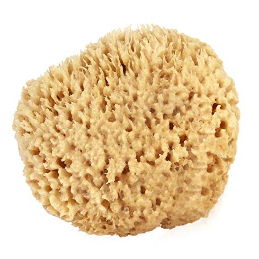 Sea Wool Sponge 5-6" (Large) by Bath & Shower Express ® Natural Renewable Resource!