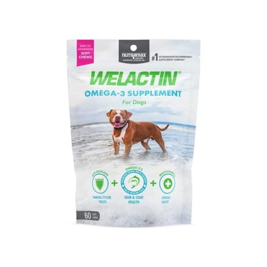 Nutramax Welactin Daily Omega-3 Supplement for Dogs, Skin & Coat Health Plus Overall Health, 60 Soft Chews