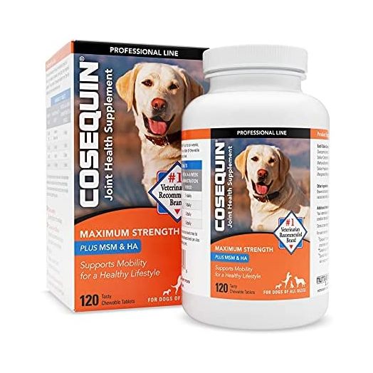 Cosequin DS Maximum Strength Plus MSM & Omega-3's Chewable Tablets, Count of 120, 120 CT | Cosequin