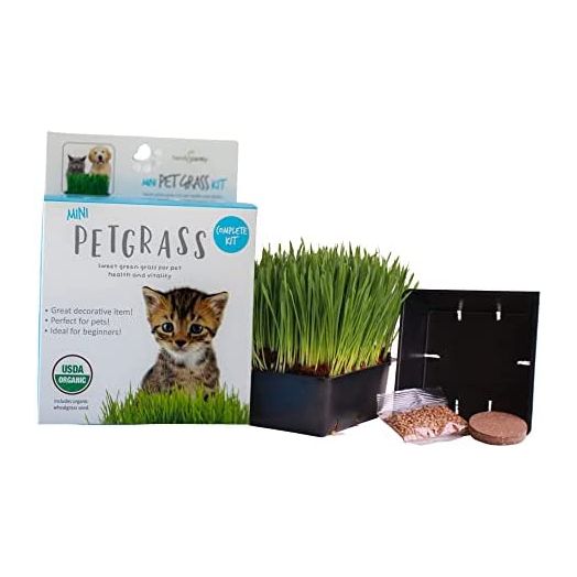 Handy Pantry Organic Cat Grass Kit - Includes 1 Tray, 1 Soil Puck, and Non GMO Wheatgrass Seed - A Healthy Treat for Cats, Dogs, Rabbits, and More