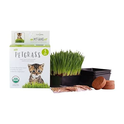 Handy Pantry Organic Cat Grass Kit - Includes 3 Trays, Soil Pucks, and 3 Packs Non GMO Wheatgrass Seed - A Healthy Treat For Cats, Dogs, Rabbits, More
