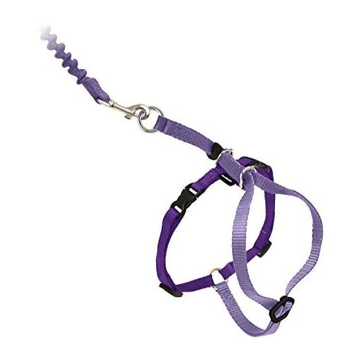 PetSafe Come With Me Kitty Harness and Bungee Leash, Harness for Cats