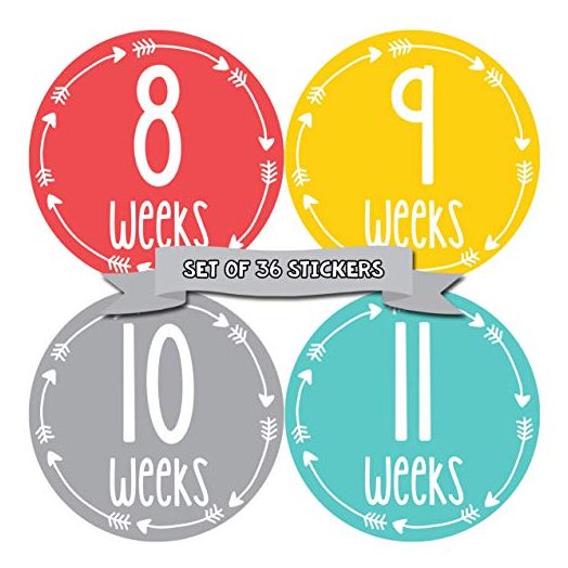 Months In Motion Pregnancy Weekly Belly Growth Stickers - Week to Week Pregnant Expecting Photo Prop - Maternity Keepsake - Baby Bump - Large Set of 36 Weekly Photo Sticker