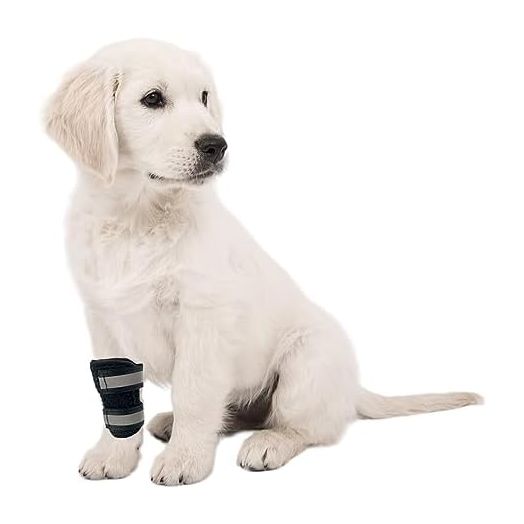 Leg Brace for Dogs, Dog Leg Brace for Improved Pet Mobility, Dog Leg Sleeve for Carpal Support, Dog Leg Sleeve with Reflective Straps(Size:M)