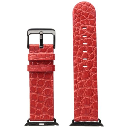 Hadley Roma AP1000UQ 38A 38mm Apple Strap Alligator MTE Leather Alligator Red Watch Strap