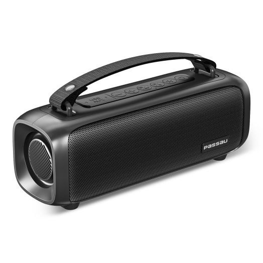 Passau Bluetooth Speakers Loud Stereo Sound Portable Speaker, RGB Lights, TWS Pairing, Built-in Mic, Voice Assistant,1000 Minutes Playtime, IPX4 Waterproof, Lightweight Wireless Speaker