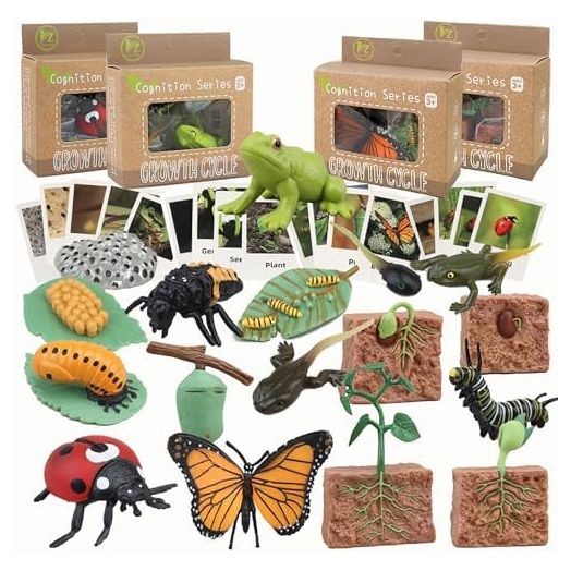 Life Cycle Learning & Education Toys,Montessori Toys Figurines for Frog, Butterfly, Ladybug,Plants Kit,Gift for Girl & Boy for 3 4 5 Year Old