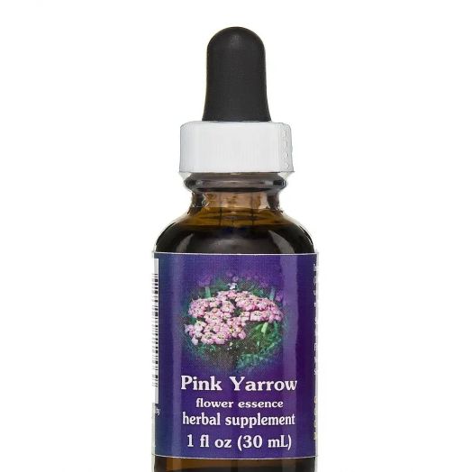 Flower Essence Services Pink Yarrow Dropper - 1 fl. oz (30 ml)