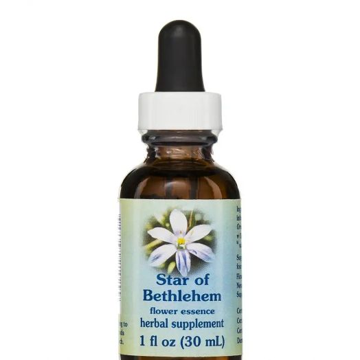 Flower Essence Services Star of Bethlehem Dropper - 1 fl. oz (30 ml)