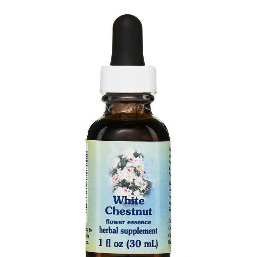 Flower Essence Services White Chestnut Dropper - 1 fl. oz (30 ml)