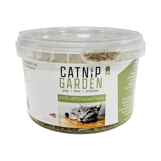 Multipet Catnip Garden Tub Toy, 1.5"
