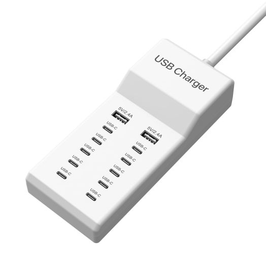 Multiple USB C Charger, 12 Ports USB Charging Station, 60W MultiPort Charger[10 USB-C+2 USB-A], USB Wall Charger, Desktop USB Charger Compatible with iPhone/iPad/Samsung/Google Pixel/Watch/Headphones