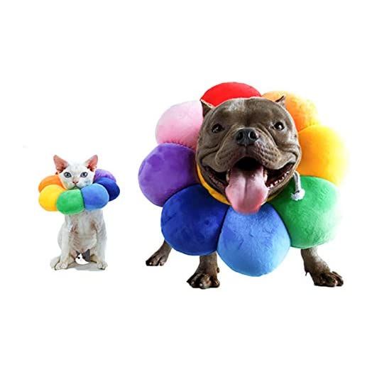 ccypet Pet Adjustable Recovery Collar - Recovery Protective Pet Cone Wound Healing Protective Soft Edge for Pets/Kitten/Cats/Small Dogs