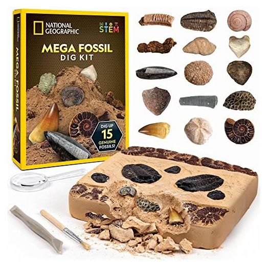 NATIONAL GEOGRAPHIC Mega Fossil Dig Kit - Excavate 15 Genuine Prehistoric Fossils, Kids Educational Toys, Great Science Kit Gift for Girls and Boys (Amazon Exclusive)