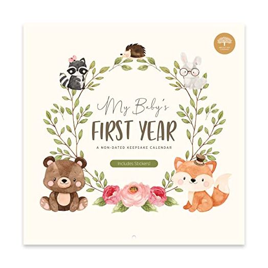 Baby's First Year Calendar by Bright Day - 1st Year Tracker - Journal Album to Capture Precious Moments - Milestone Keepsake for Baby Girl or Boy