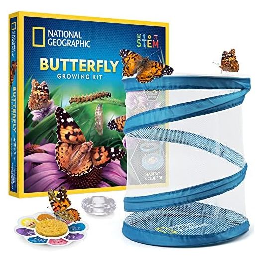 NATIONAL GEOGRAPHIC Butterfly Growing Kit - Butterfly Habitat Kit with Voucher to Redeem 5 Caterpillars (S&H Not Included), Butterfly Cage, Feeder (Amazon Exclusive)
