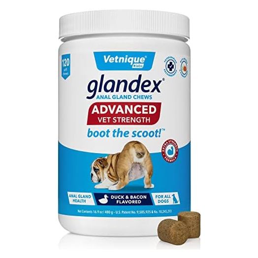 Glandex Anal Gland Soft Chew Treats with Pumpkin for Dogs Digestive Enzymes, Probiotics Fiber Supplement for Dogs Boot The Scoot (Advanced Strength Duck/Bacon Chews (Vegetarian), 120ct)