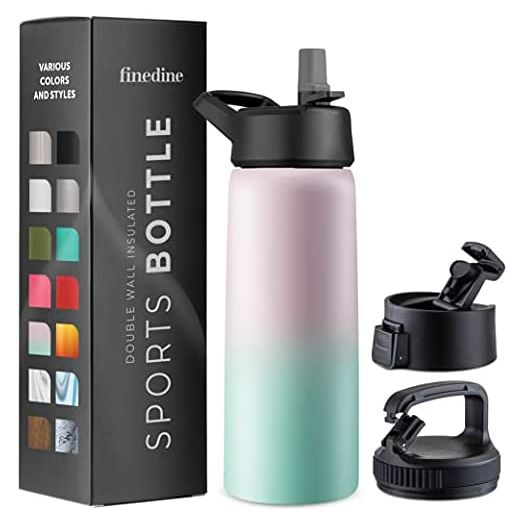 FineDine Triple-Insulated Stainless Steel Water Bottle with Straw Lid, 25 Oz