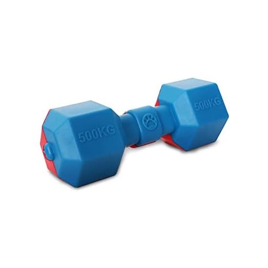 Pet Life ® Dumbbell Durable Water Floating Chew and Fetch Dog Toy